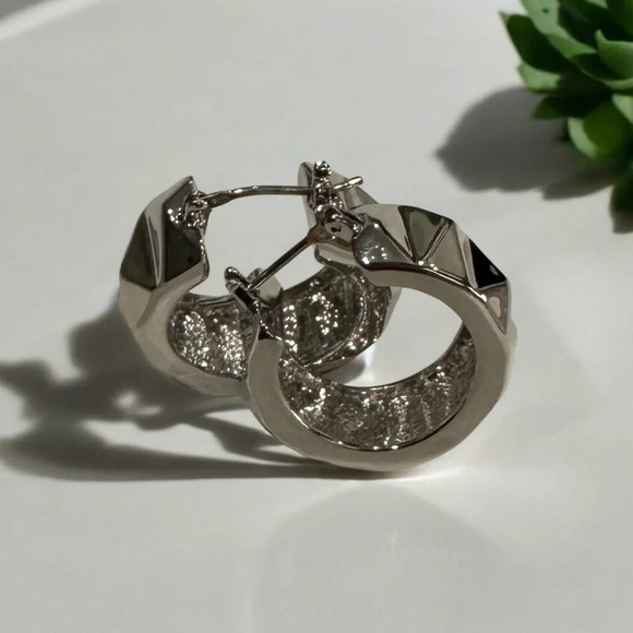 🇨🇦🆕5th Avenue Chunky Rhodium Earrings - Picture 5 of 13